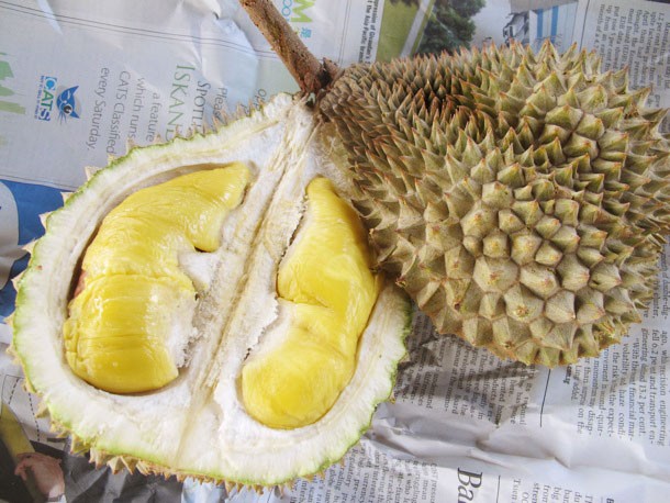 Singapore best local foods durian