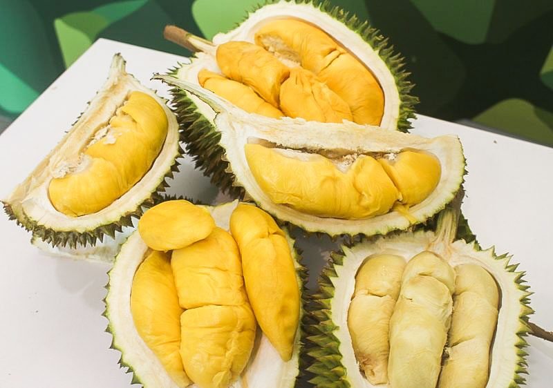 The Durian Story 8 1 800x562 2
