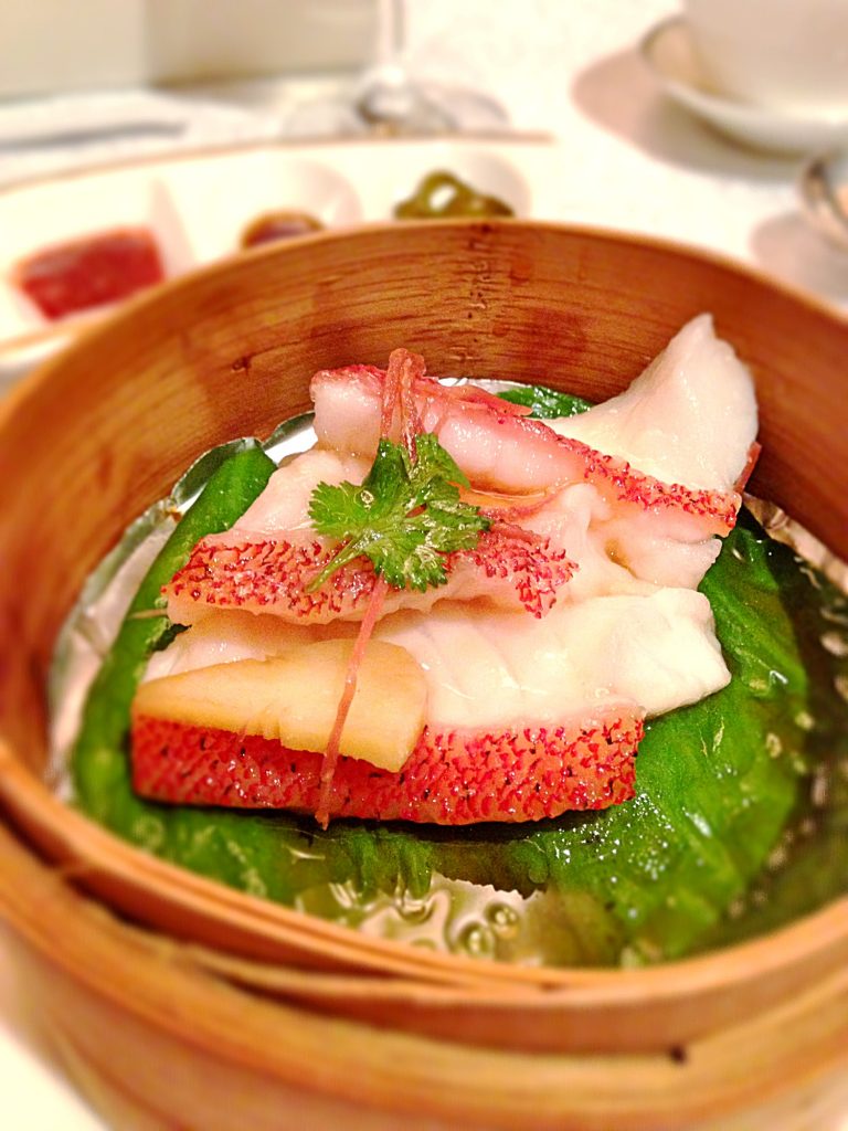 Yan Ting Steamed coral trout