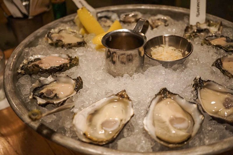 oysters-