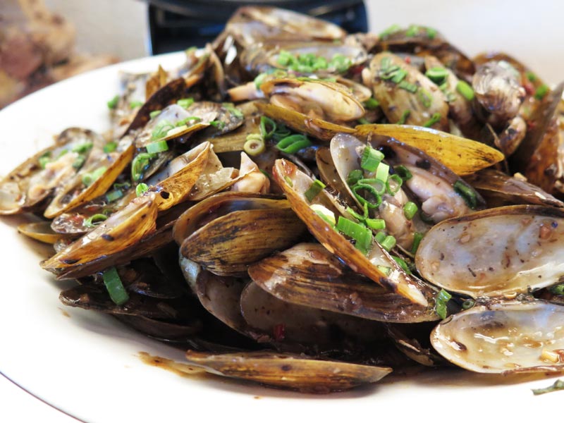 Brizo-Mussels