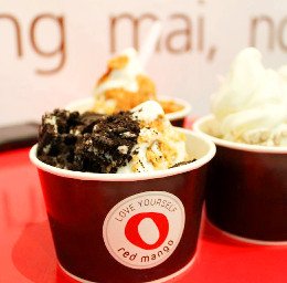 Red mango best froyo in singapore 