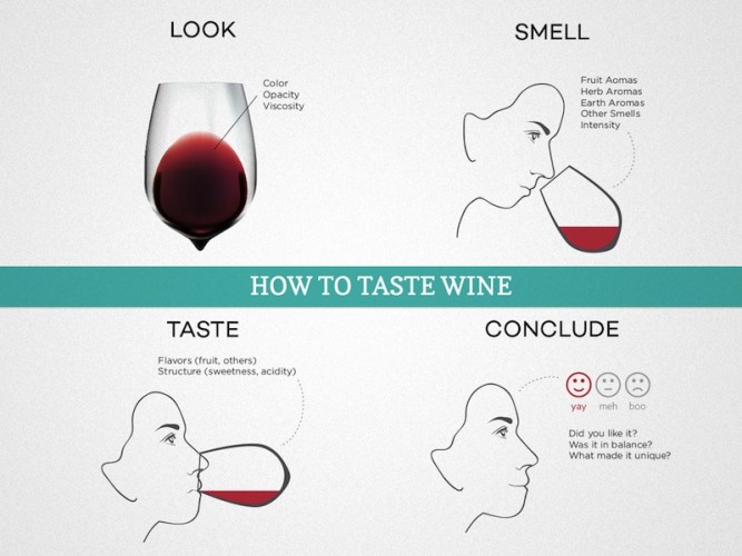 how to taste wine