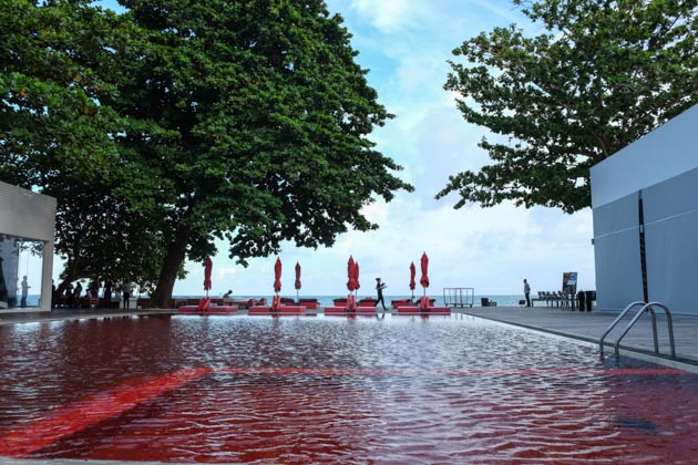 Samui-the-library-red-pool