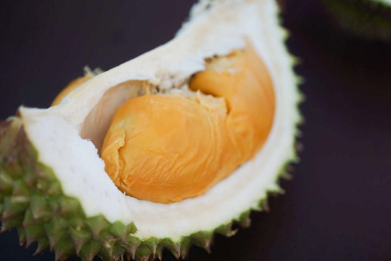 durian-fest--10