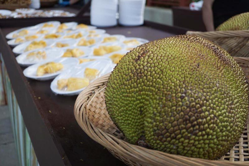 durian-fest--6