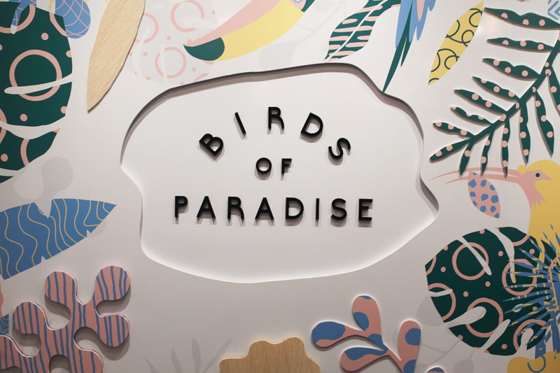 birds of paradise gelato boutique