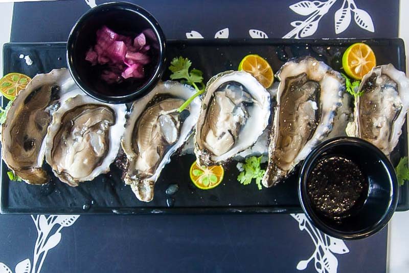 seven7h cucina oysters