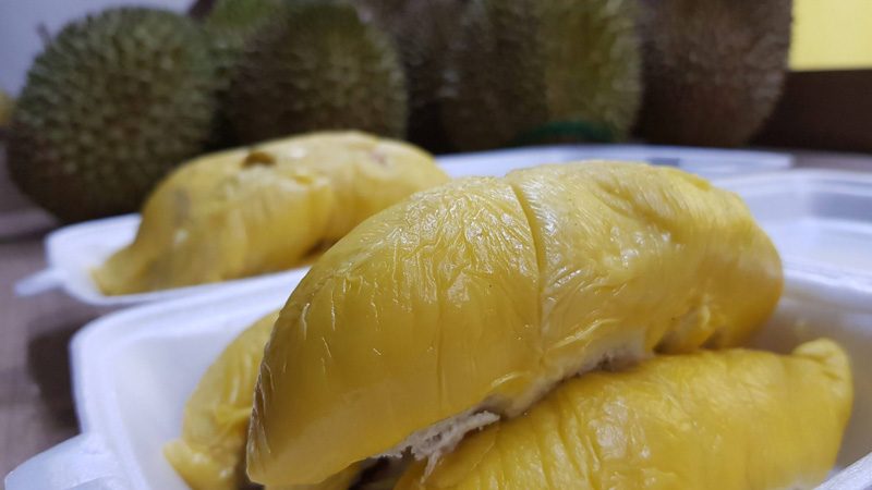 Majestic Durian Buffet 1