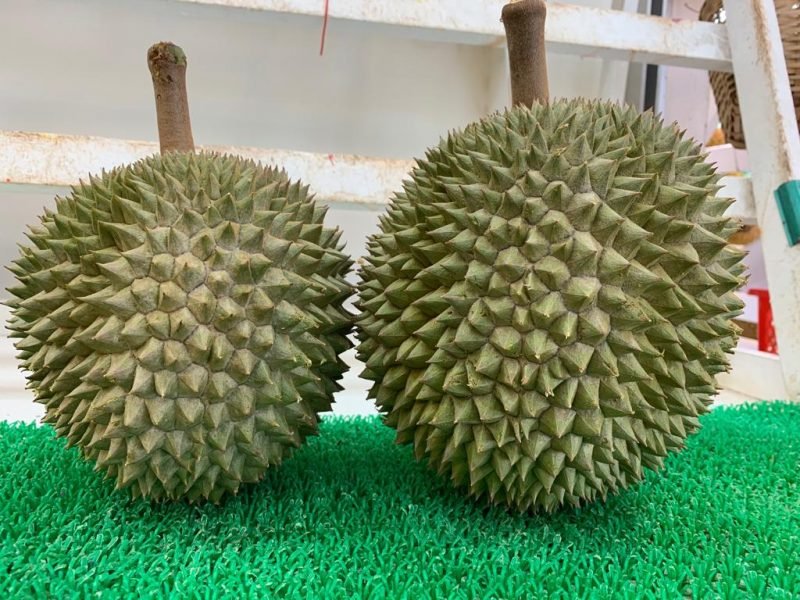 Online 227 Katong Durian