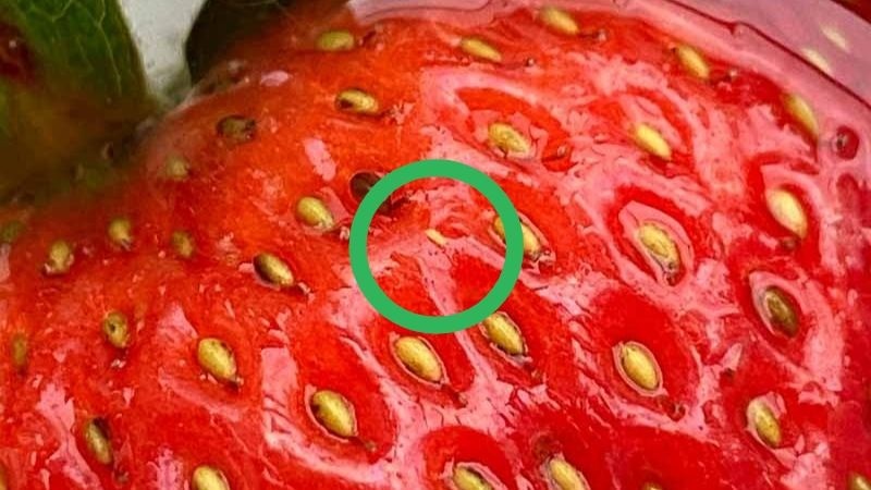 Strawberries Food Trends Investigated Tiktok 10 (1)
