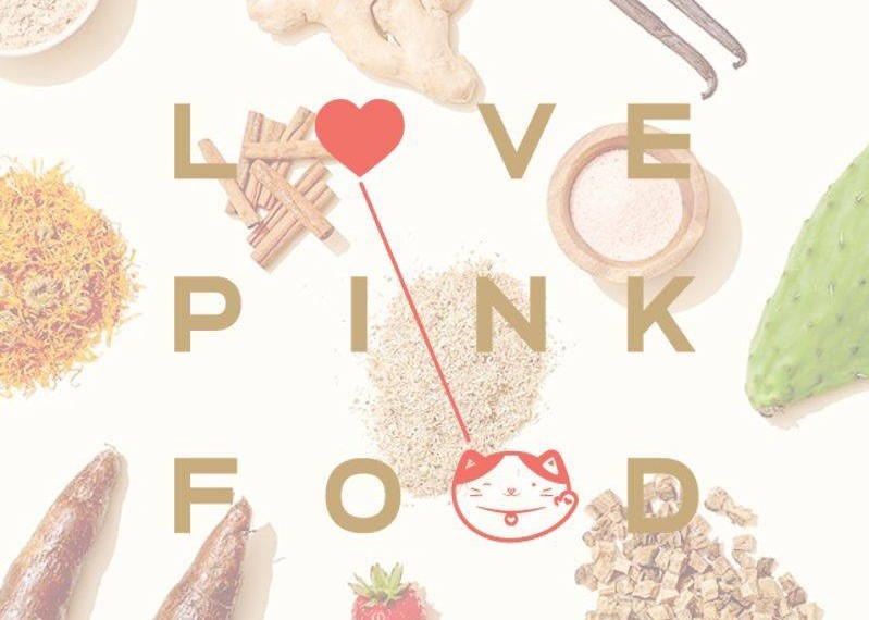 Love Pink Food Online 4