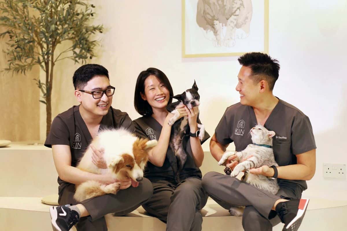 Best Veterinary Clinic in Singapore - Kin Veterinary