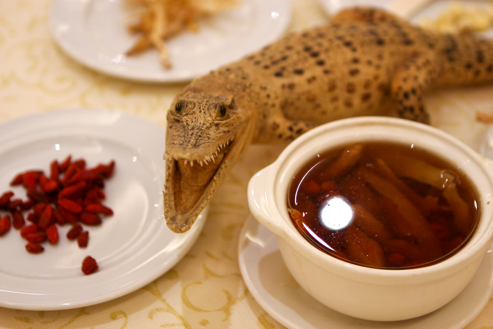 Image of crocodile soup with miniature crocodile toy