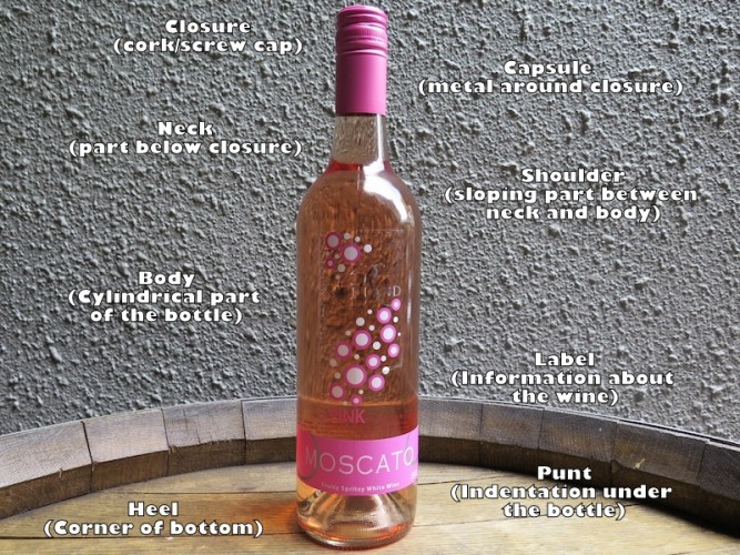 Anatomy of wine bottle