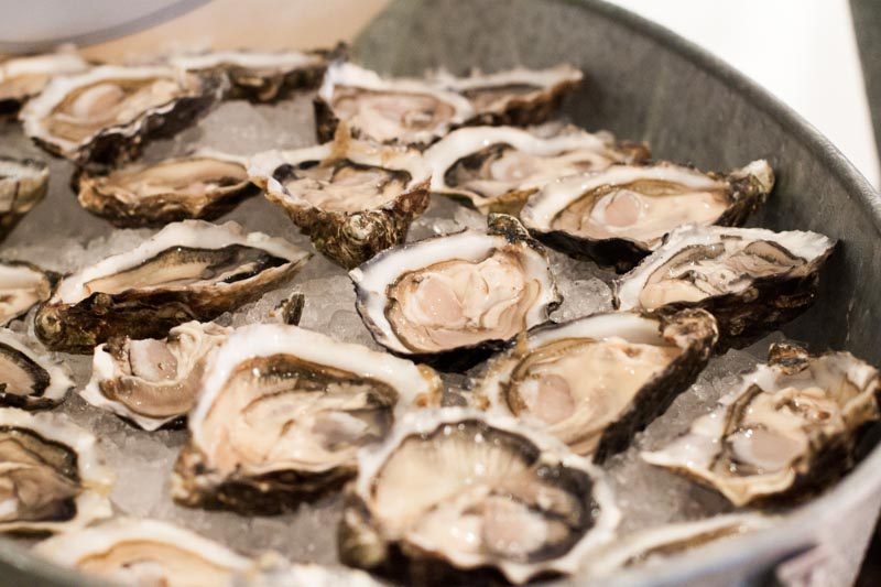 the westin oysters
