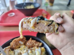Yishun Park Food Guide - katsu