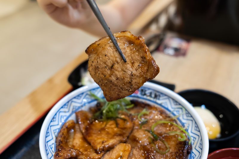 Tokachi Tontaro 8