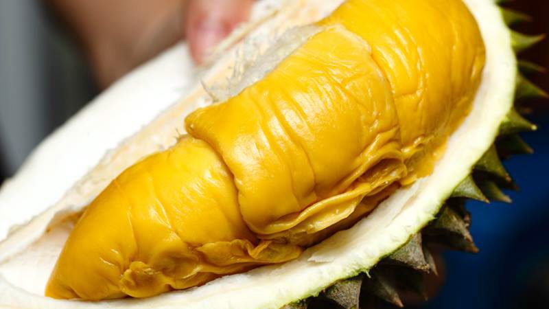 Bangi Golf Resort Durian Festival & Awards 2018 Online 6