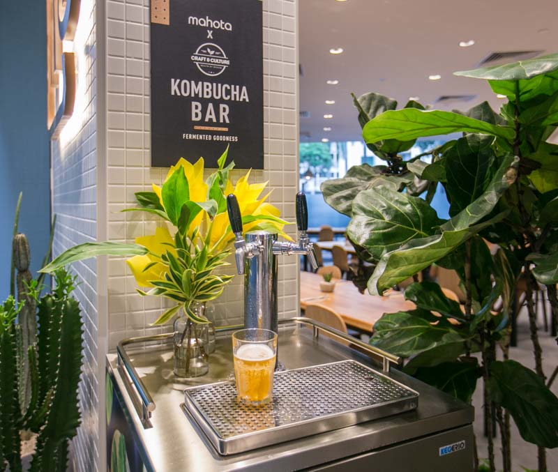 Mahota 1 Mahota Kitchen: Farm To Table Concept With An In House Kombucha Bar In Century Square
