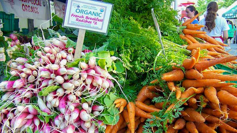 Loewen Farmer's Market Online 3