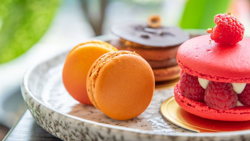 M Plot Macarons 5