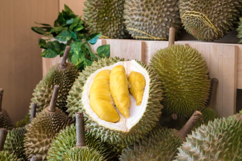Plaza Singapura Durian Buffet 4