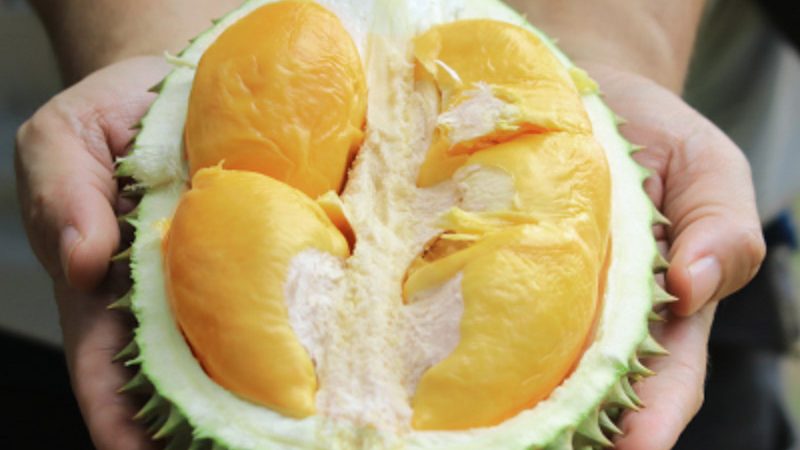 Rws Good Ol Days Durian Fest 2019 Online Feature 1