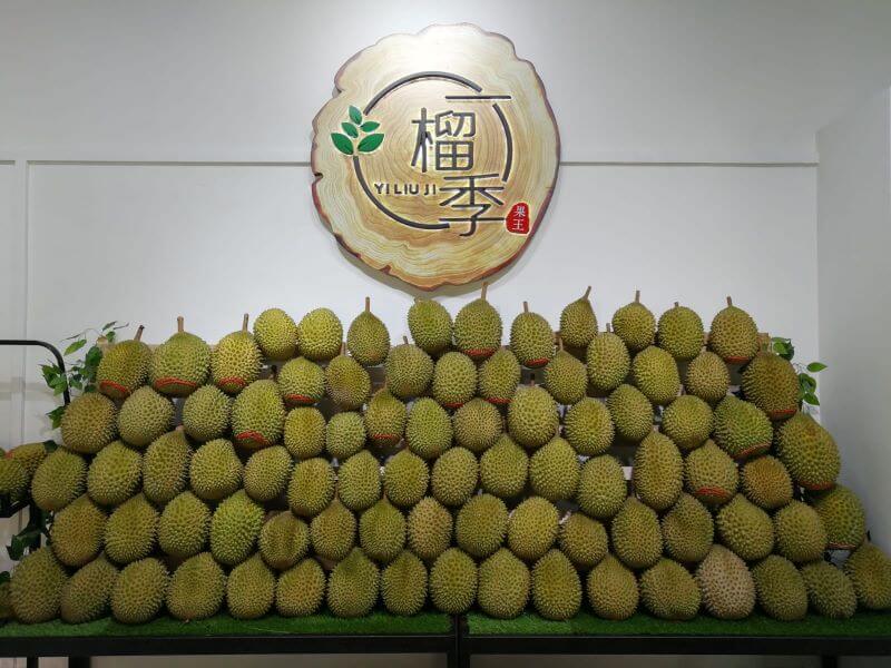 540kg Durian Yi Liu Ji Online 3