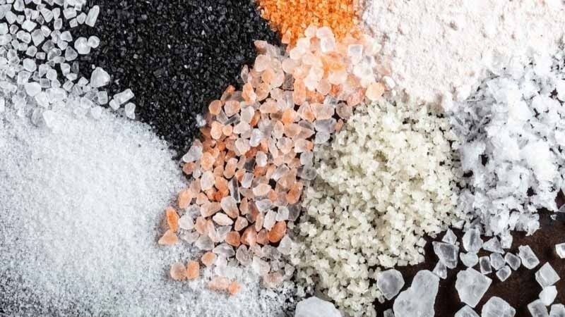Salt Produce Explained Online 14