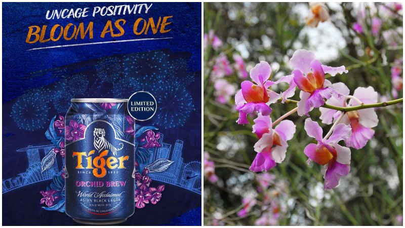 Featured Tiger Beer Singapore Tiger Orchid Brew Online