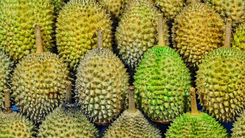 Produce Explained Durian 1