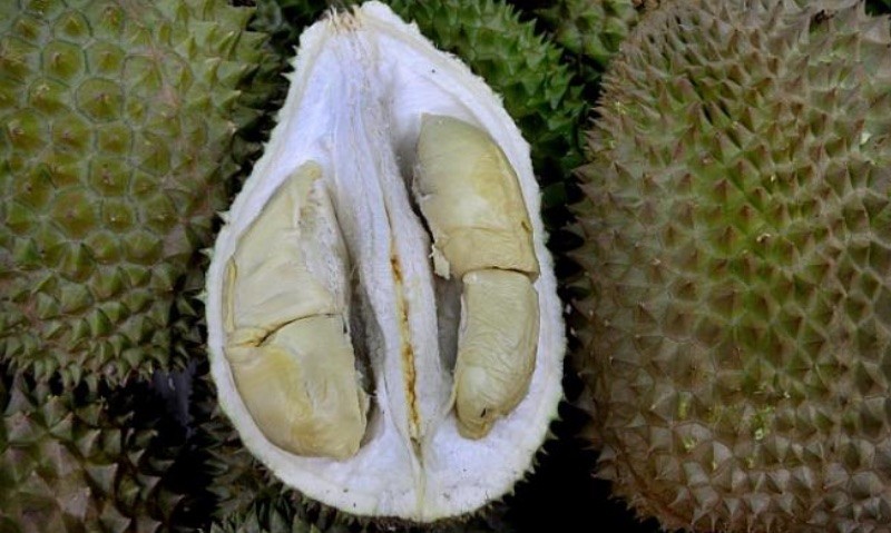 Produce Explained Durian Black Pearl Online 1 2