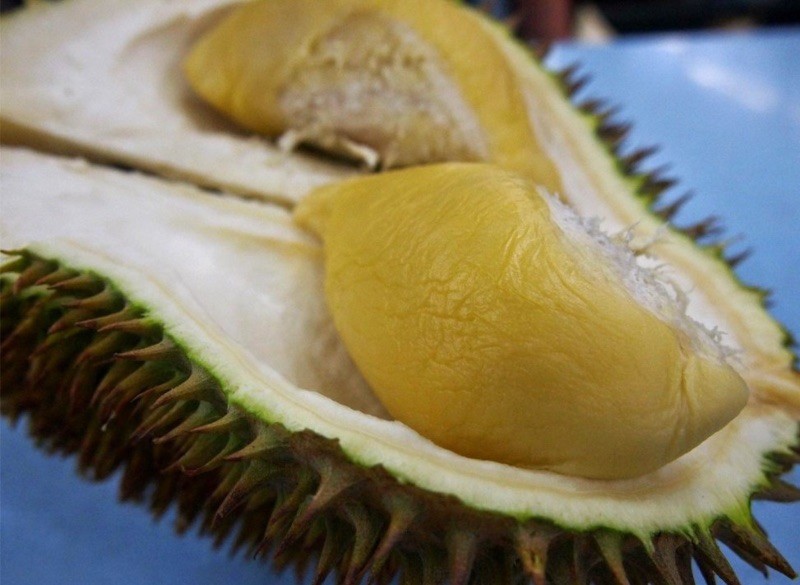 Produce Explained Durian D24 Online 2