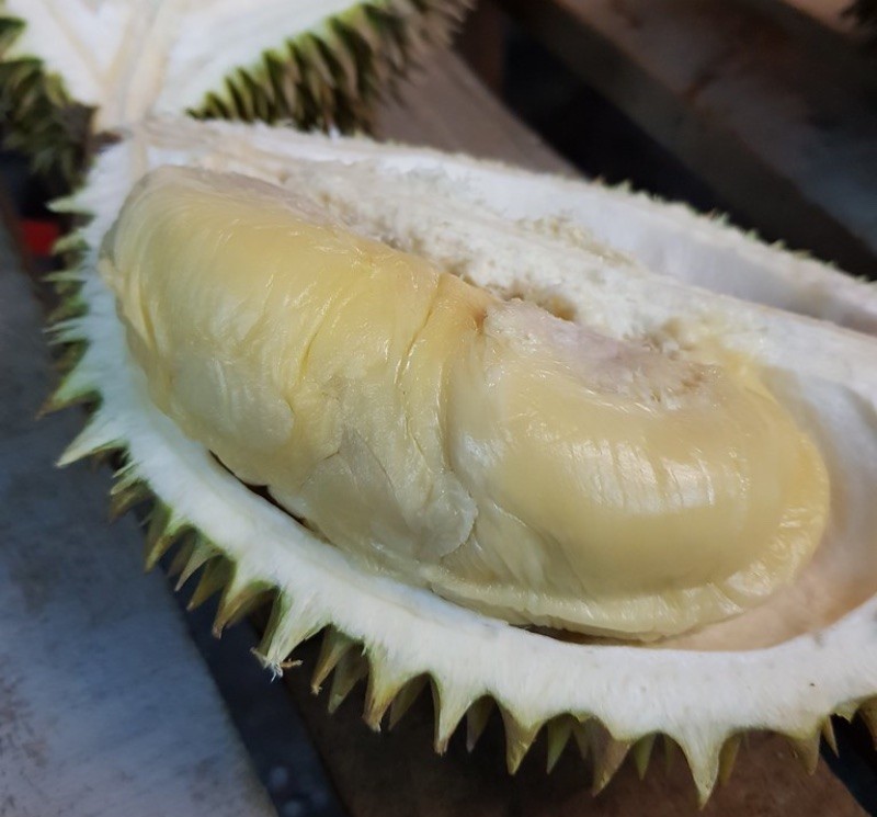 Produce Explained Durian Xo Online 1 2