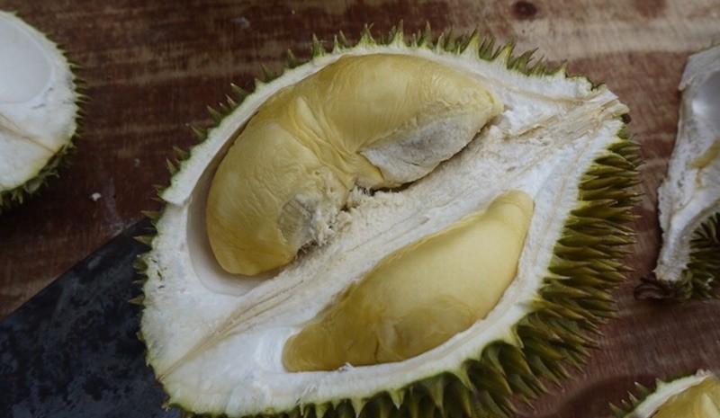 Produce Explained Durian Green Bamboo Online 1