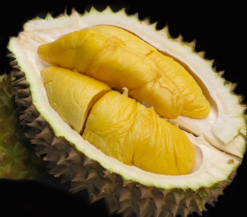 Produce Explained Durian Mao Shan Wang Online 2 2