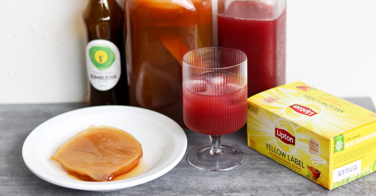 Kombucha 7