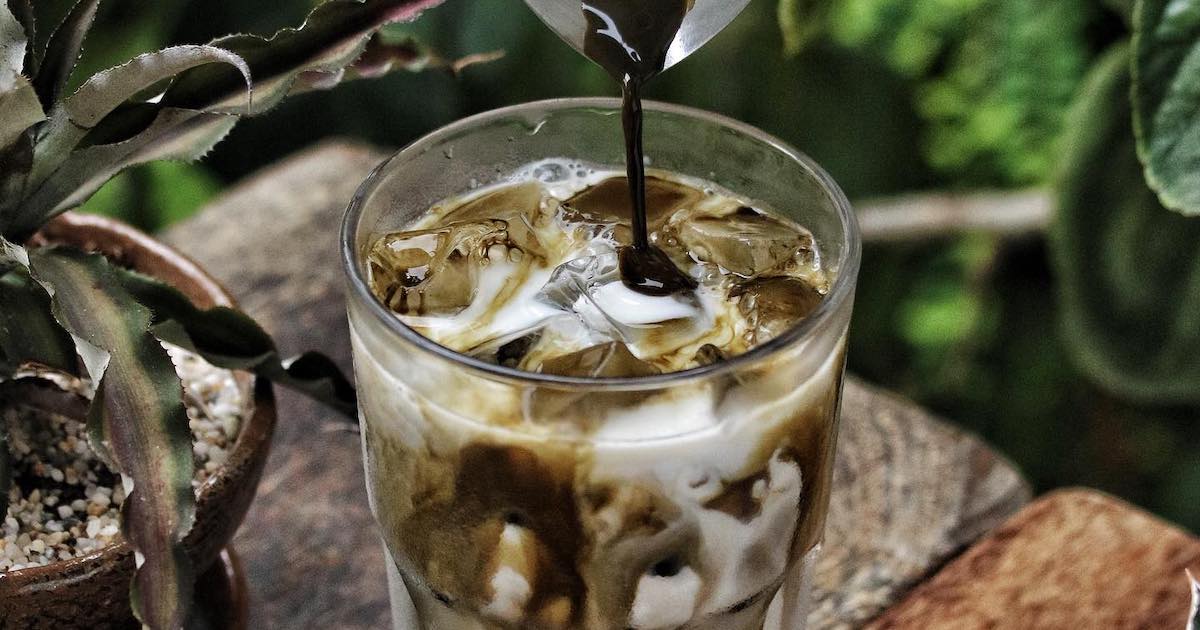 Tbb Hojicha Latte Online 3
