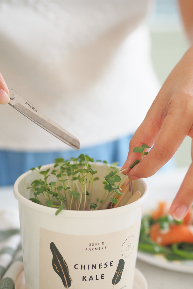 Shot of women cutting Chinese kale