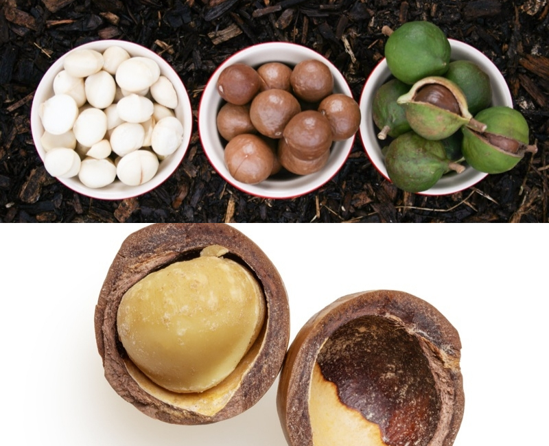 Collage Of Macadamia Nuts