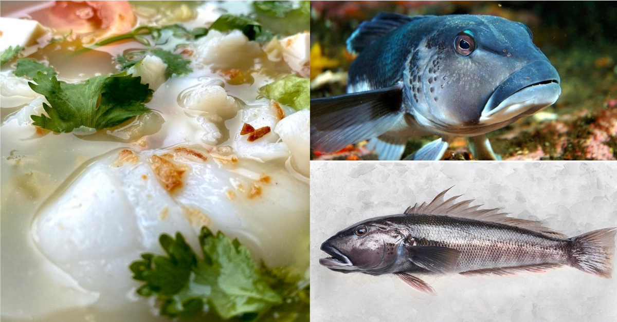 Collage of Qing Feng Yuan fish soup and New Zealand Blue Cod