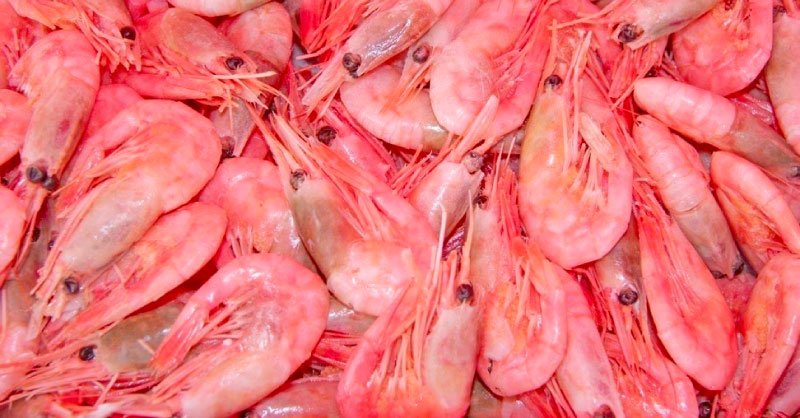 an image of raw pink prawns