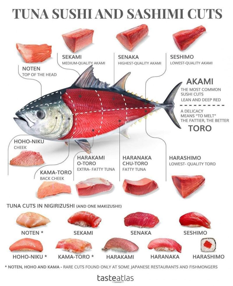 A chart of tuna sashimi cuts