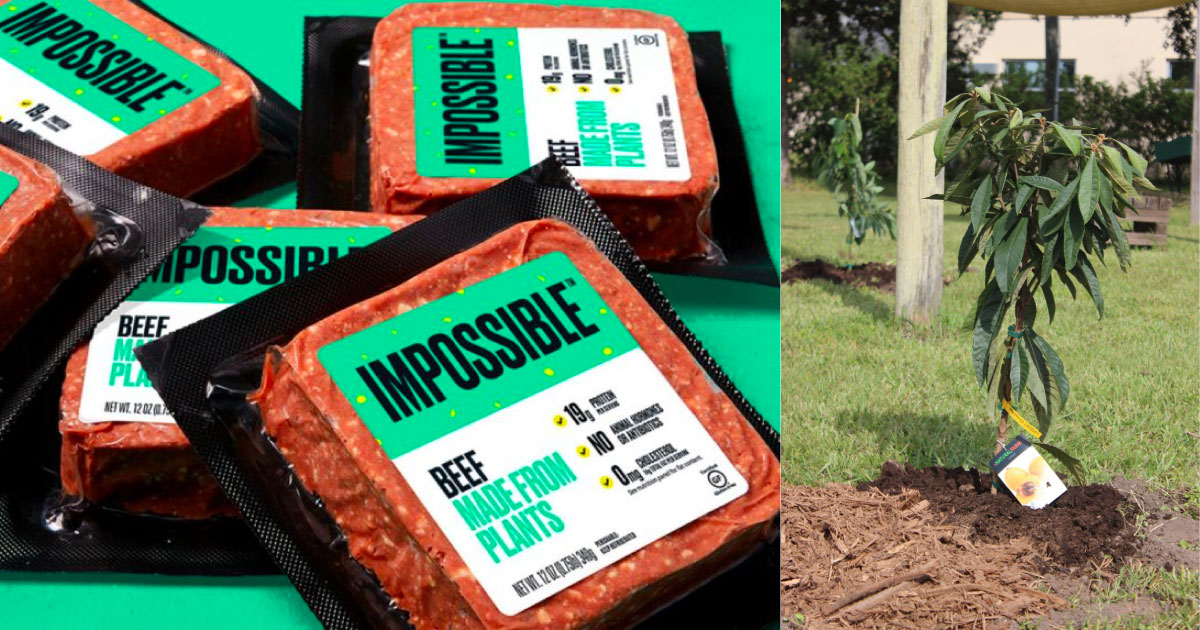 Impossible