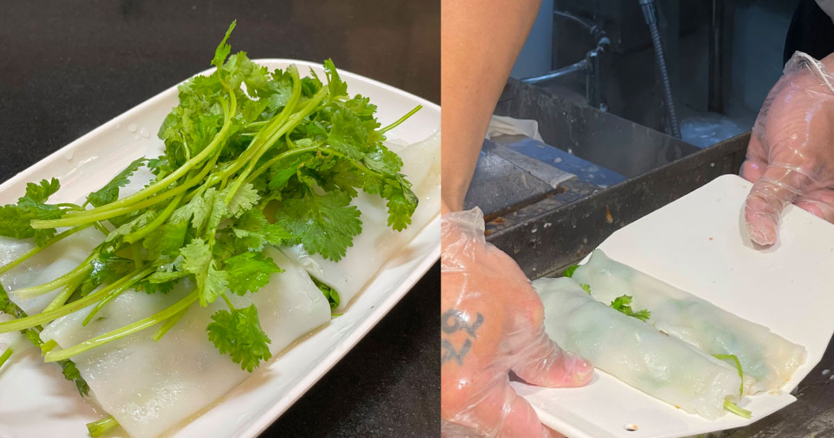 Coriander 3