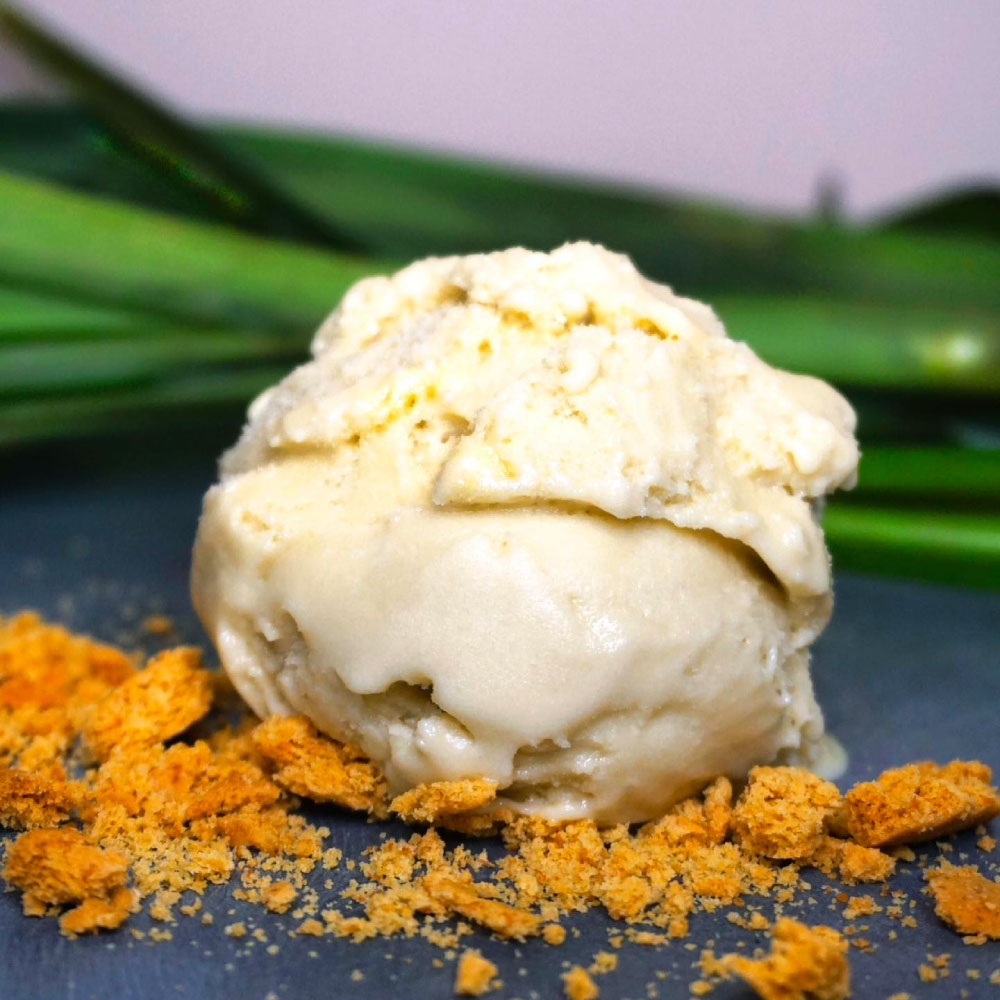 a scoop of kaya gelato 