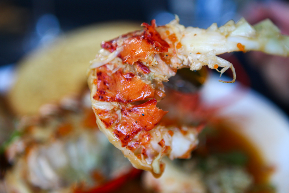Close up of lobster meat