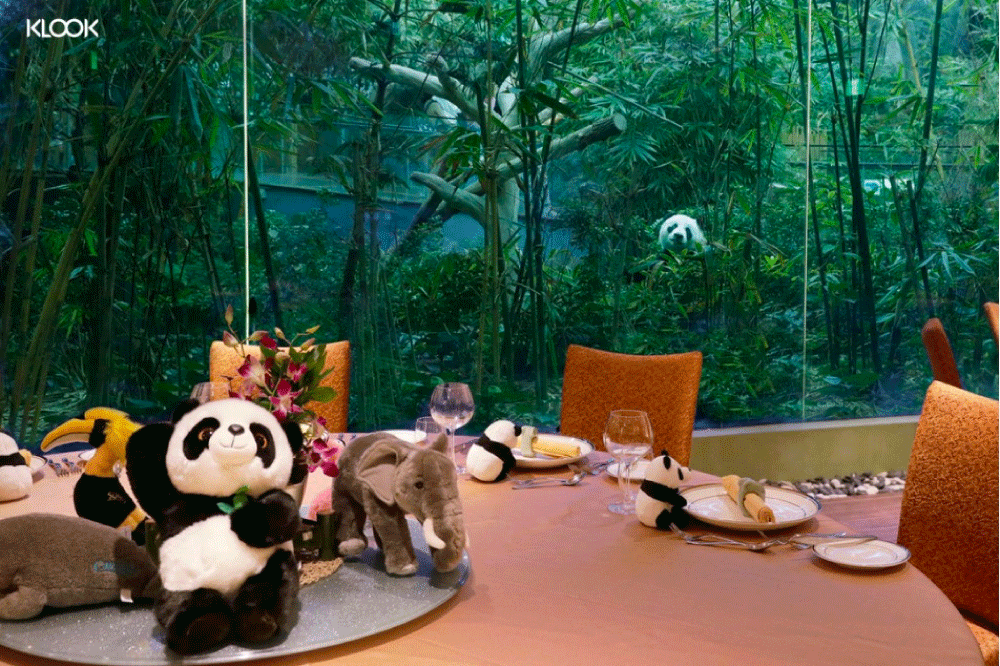 a photo of river wonders panda-themed lunch