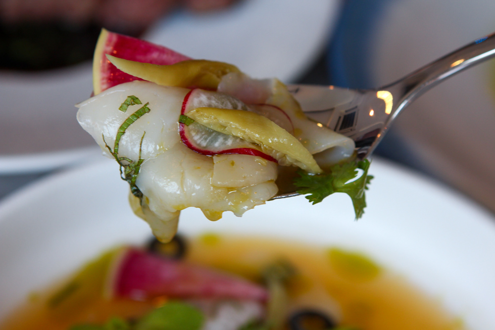 Close up of ceviche 